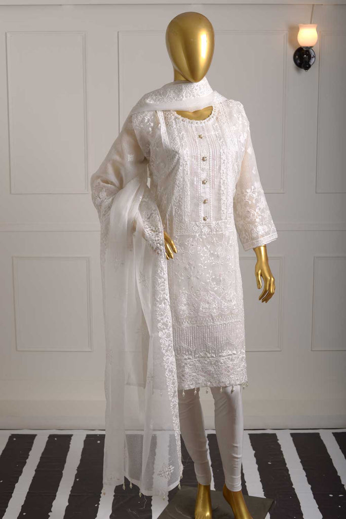 R22-Net-14-White | 3Pc Embroidered Semi-Stitched Ayudia Net Fabric Dress