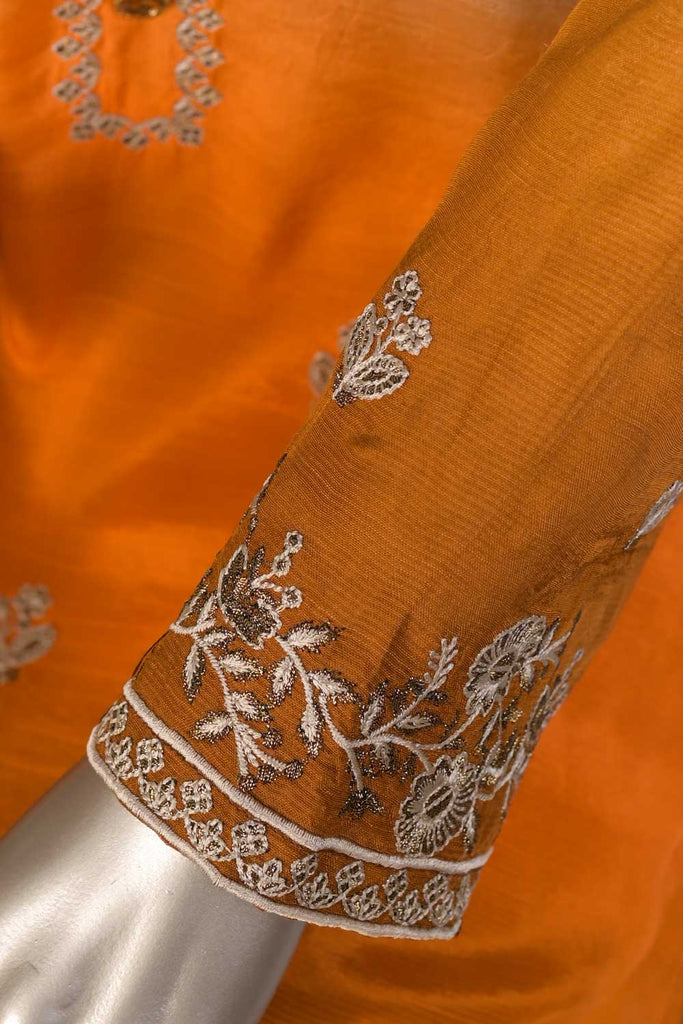 SC-255B-Grey - Senorita | 3Pc Raw Silk Embroidered & Printed Dress