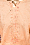 Ayana-(ZIN-5B) 3 Pc Semi Stitched Chikankari Embroidered Stone Work Lawn Dress with Chiffon Chikankari Dupatta