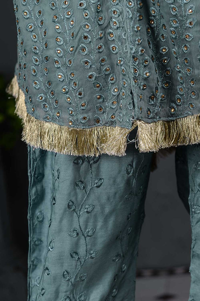 Dahlia (F-29-Gray) - Chiffon Semi-stitched Embroidered Dress