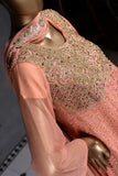 Dahlia (F-29-Rusty Light) - Chiffon Semi-stitched Embroidered Dress