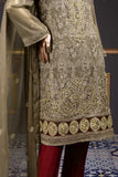 Feast (F-160-Brown) - Chiffon Semi-stitched Embroidered Dress