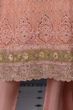 Majestic Horizon (F-49-Peach) - Chiffon Semi-stitched Embroidered Dress