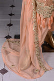 Shining Lake (F-104-Peach) - Chiffon Semi-stitched Embroidered Dress